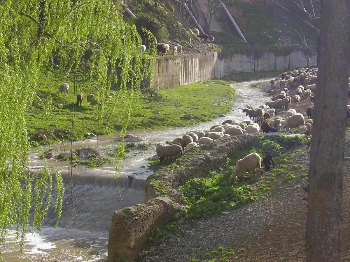 Alojamiento El Cortijuelo Escoznar 외부 사진